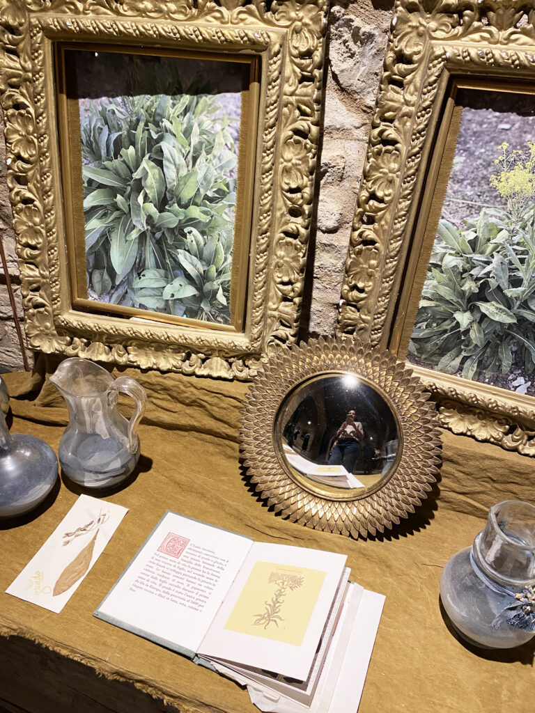 quel cassetto cilestre